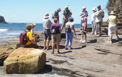 Gondwana Coast Fossil Walk - Accommodation 4U 0