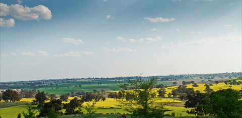 Harden Murrumburrah - Accommodation 4U 1