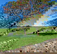 Historic Dry Stone Walls Kiama - Accommodation 4U