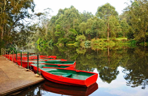 Lane Cove National Park - Accommodation 4U 0