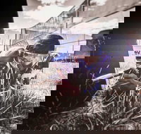 Luddenham Raceway Paintball - Accommodation 4U