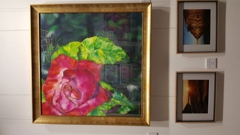 Macleay Valley Community Art Gallery - Accommodation 4U 0
