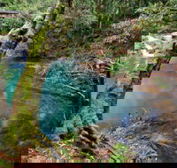 Mobong walking track - Accommodation 4U