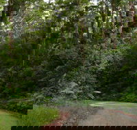 Moonpar Forest drive - Cascade National Park - Accommodation 4U