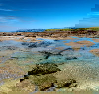 Moonee Beach trail - Accommodation 4U