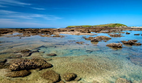 Moonee Beach Trail - Accommodation 4U 0