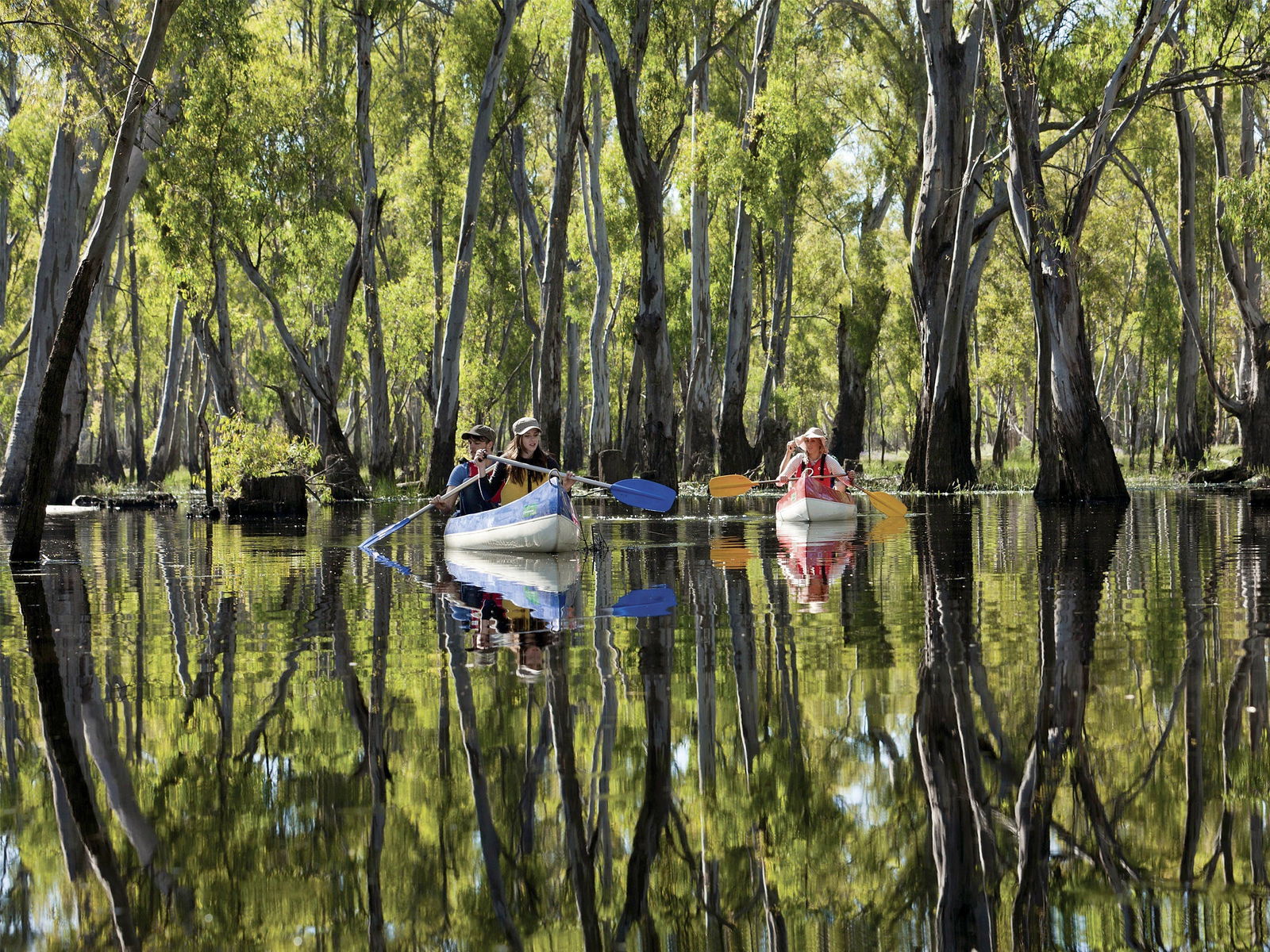 Warragoon NSW Accommodation 4U