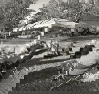 Pioneer Park - Accommodation 4U