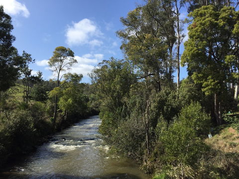 Pipers River Board Walk - Accommodation 4U 1