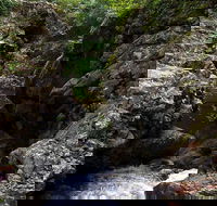 Potoroo Falls walk - Accommodation 4U