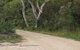 Riverview Walking Track - thumb 0