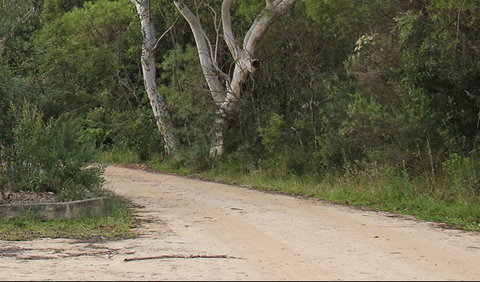 Riverview Walking Track - Accommodation 4U 0