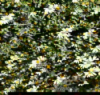 Round Tank Picnic Area - Accommodation 4U