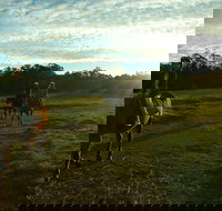 Scenic NSW Horse Riding Centre - Accommodation 4U