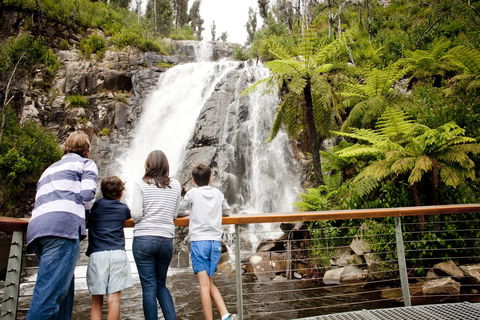Steavenson Falls - Accommodation 4U 0