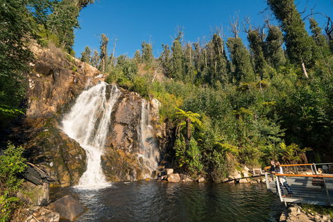 Steavenson Falls - Accommodation 4U 1