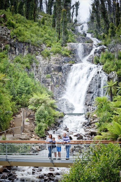 Steavenson Falls - Accommodation 4U 2