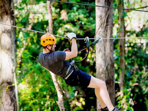 TreeTop Challenge Currumbin Wildlife Sanctuary - Accommodation 4U 0