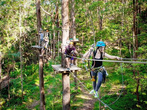 TreeTop Challenge Currumbin Wildlife Sanctuary - Accommodation 4U 1