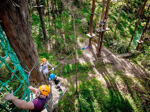 TreeTop Challenge Currumbin Wildlife Sanctuary - Accommodation 4U 2