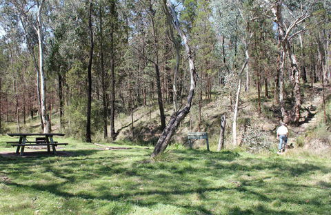 Wallaby Walking Track - Accommodation 4U 0
