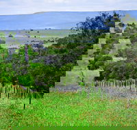 Wild Dog Barrier Fence - Accommodation 4U