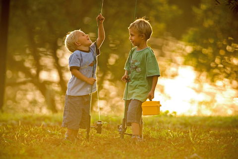 Wilsons River Experience Walk - Accommodation 4U 0