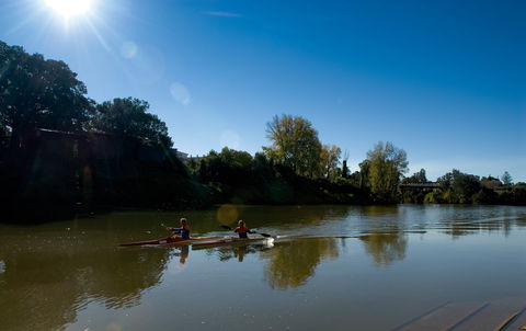Wilsons River Experience Walk - Accommodation 4U 1