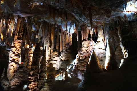 Jenolan Caves: Orient Cave Tour - Accommodation 4U 2