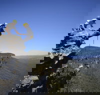 Half-Day Abseiling Adventure in Blue Mountains National Park - Accommodation 4U