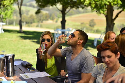 Hunter Valley Wine Tour Ex Newcastle Incl Lunch, Cheese, Chocolate & Distillery - Accommodation 4U 0