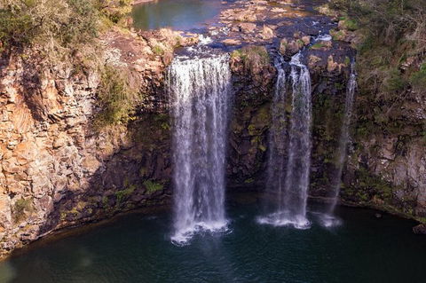 Rainforest & Waterfall Experience - Accommodation 4U 1