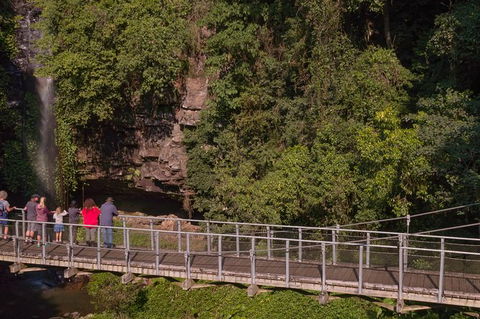 Rainforest & Waterfall Experience - Accommodation 4U 4