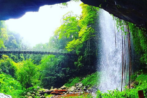 Rainforest & Waterfall Experience - Accommodation 4U 6
