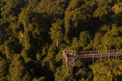 Rainforest & Waterfall Experience - Accommodation 4U 5