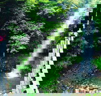 Rainforest  Waterfall Experience - Accommodation 4U