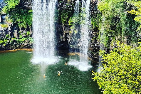 Rainforest & Waterfall Experience - Accommodation 4U 2