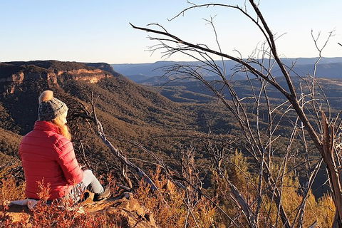 Ultimate Blue Mountains Waterfalls, Walks & Sunset PRIVATE Tour - Accommodation 4U 5