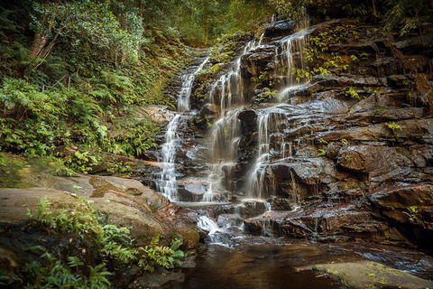 Ultimate Blue Mountains Waterfalls, Walks & Sunset PRIVATE Tour - Accommodation 4U 10