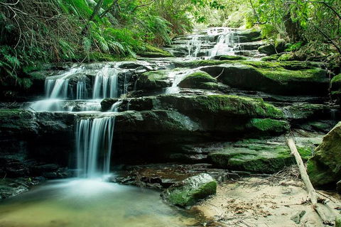 Ultimate Blue Mountains Waterfalls, Walks & Sunset PRIVATE Tour - Accommodation 4U 2