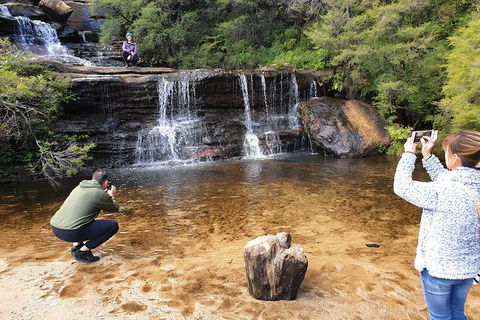 Ultimate Blue Mountains Waterfalls, Walks & Sunset PRIVATE Tour - Accommodation 4U 0