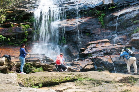 Ultimate Blue Mountains Waterfalls, Walks & Sunset PRIVATE Tour - Accommodation 4U 11