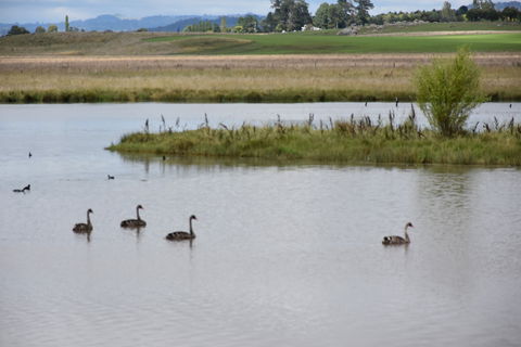 Beardy Waters Dam And Woodlands - Accommodation 4U 0
