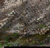 Brisbane Ranges National Park - Accommodation 4U