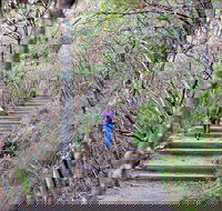 Princes Rock Walking Track