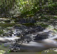 Protesters Falls Walking Track - Accommodation 4U