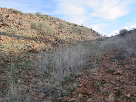 Sundown Nature Trail - Accommodation 4U 2