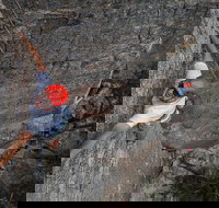 Small-Group Weekend Rock Climbing Adventure from Katoomba - Accommodation 4U