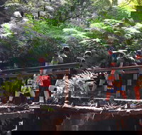 Glow Worm Tunnel Hike - Accommodation 4U