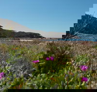 Big Rocky Full Day Guided Walk - Accommodation 4U